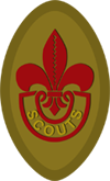 Scouts